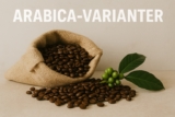 Catuai kaffe – robust og velegnet til dyrkning
