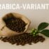 Catuai kaffe – robust og velegnet til dyrkning