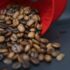 Espresso uden for koppen – når ristning, bitterhed og sødme mødes i is
